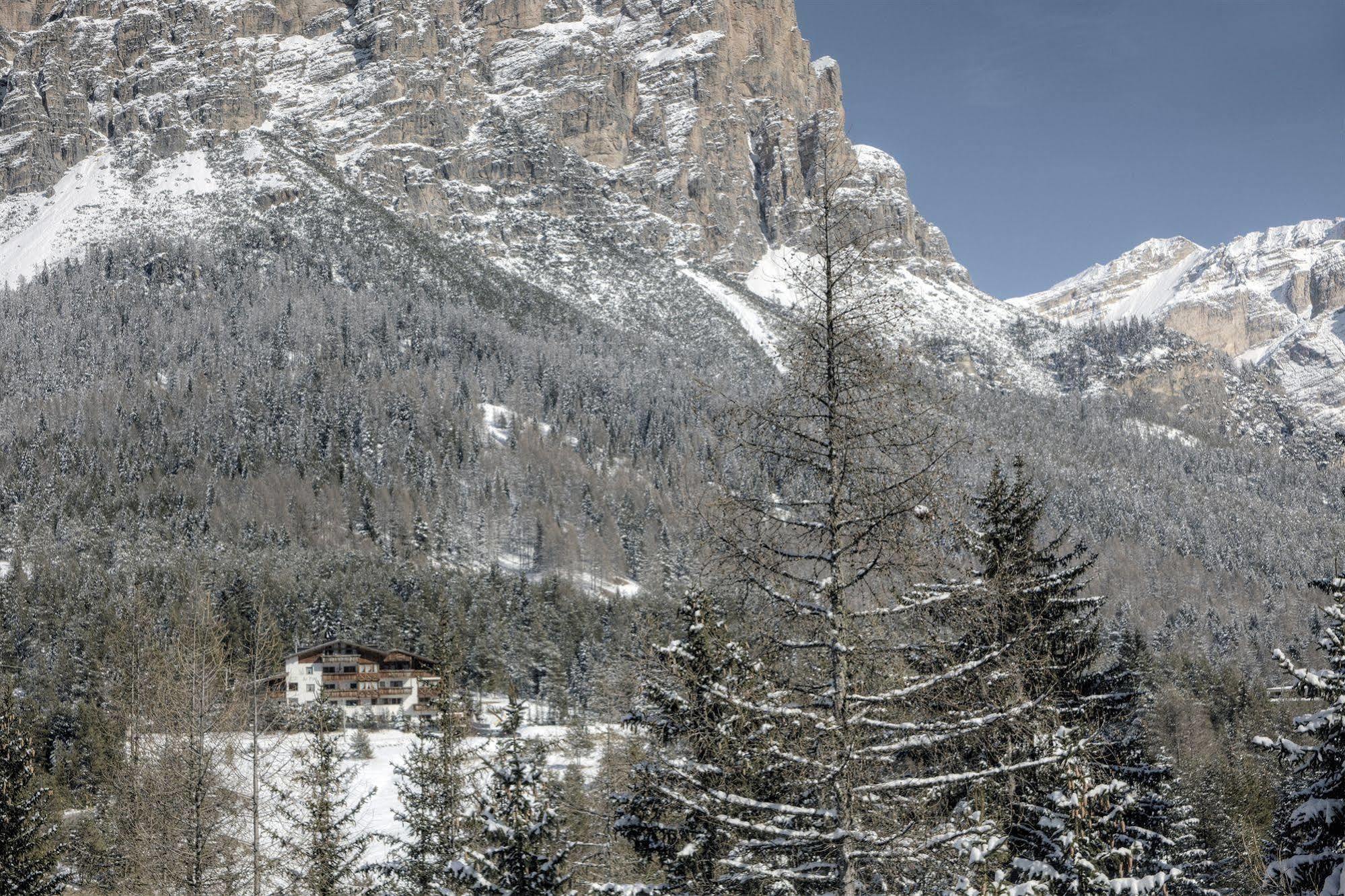 Couette-café Ciasa Ai Pini San Cassiano (Badia)